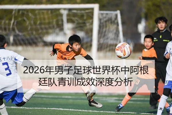 nian-nan-zi-zu-qiu-shi-jie-bei-zhong-a-gen-ting-dui-qing-xun-cheng-xiao-shen-du-fen-xi-2-316.jpg