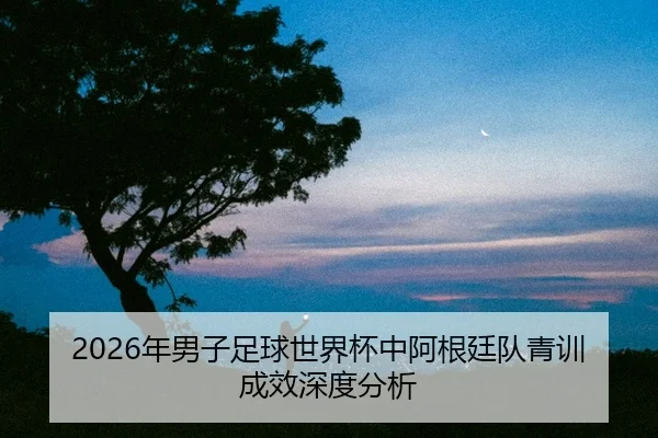 2026年男子足球世界杯中阿根廷队青训成效深度分析