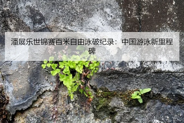 潘展乐世锦赛百米自由泳破纪录：中国游泳新里程碑