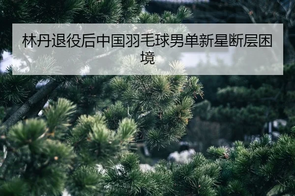 lin-dan-tui-yi-hou-zhong-guo-yu-mao-qiu-nan-dan-xin-xing-duan-ceng-kun-jing-2-219.jpg